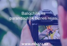 Parandachilik va Baliqchilik biznes rejasi Parandachilik va Baliqchilik biznes rejasi