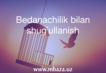 Bedanachilik bilan shug`ullanish biznes rejasi Bedanachilik bilan shug`ullanish