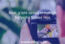 Blok g'isht ishlab chiqarich bo'yicha biznez reja