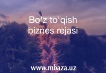 Bo'z to'qish biznes rejasi