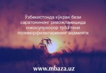 O’zbekistonda ko’krak bezi saratonining rivojlanishida onkosupressor tr53 geni polimorfizmlarining ahamiyati O'zbekistonda ko'krak bezi saratonining rivojlanishida onkosupressor tr53 geni polimorfizmlarining ahamiyati