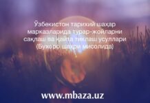Ўзбекистон тарихий шаҳар марказларида турар-жойларни сақлаш ва қайта тиклаш усуллари (Бухоро шаҳри мисолида)
